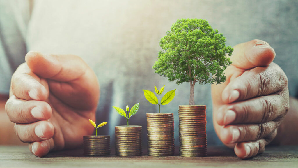 wealth protection Advisors in Adelaide SA