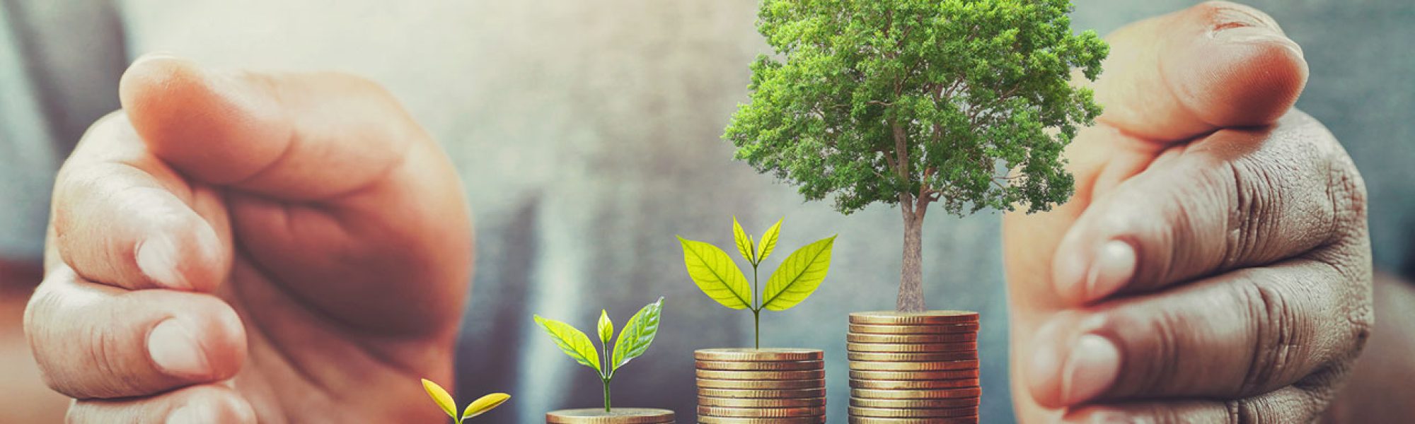 wealth protection Advisors in Adelaide SA